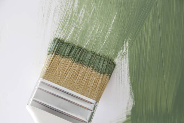 Best Mold Odor Removal Services  in Melrose Park, NY