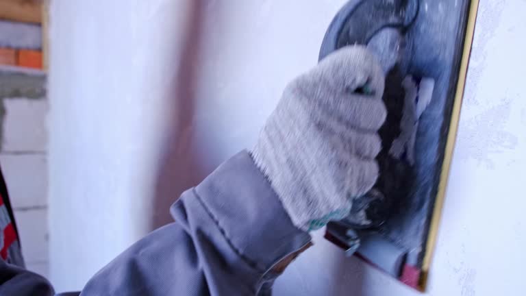 Best Black Mold Removal  in Melrose Park, NY
