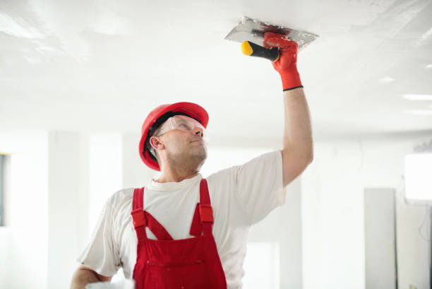 Best Basement Mold Removal  in Melrose Park, NY