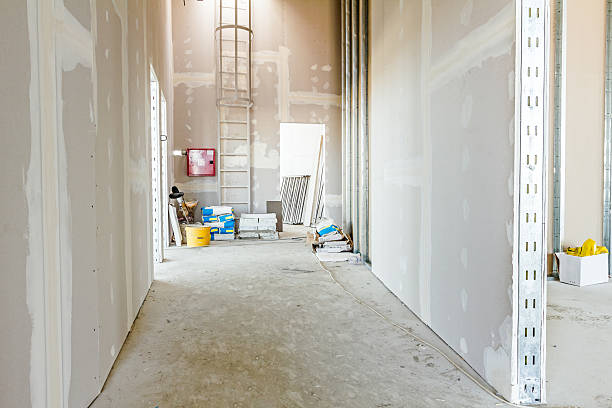 Best Mold Documentation for Insurance Claims  in Melrose Park, NY